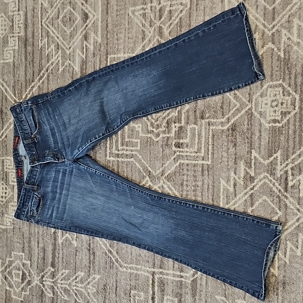 Express Vintage Lowrise Stella boot leg jeans